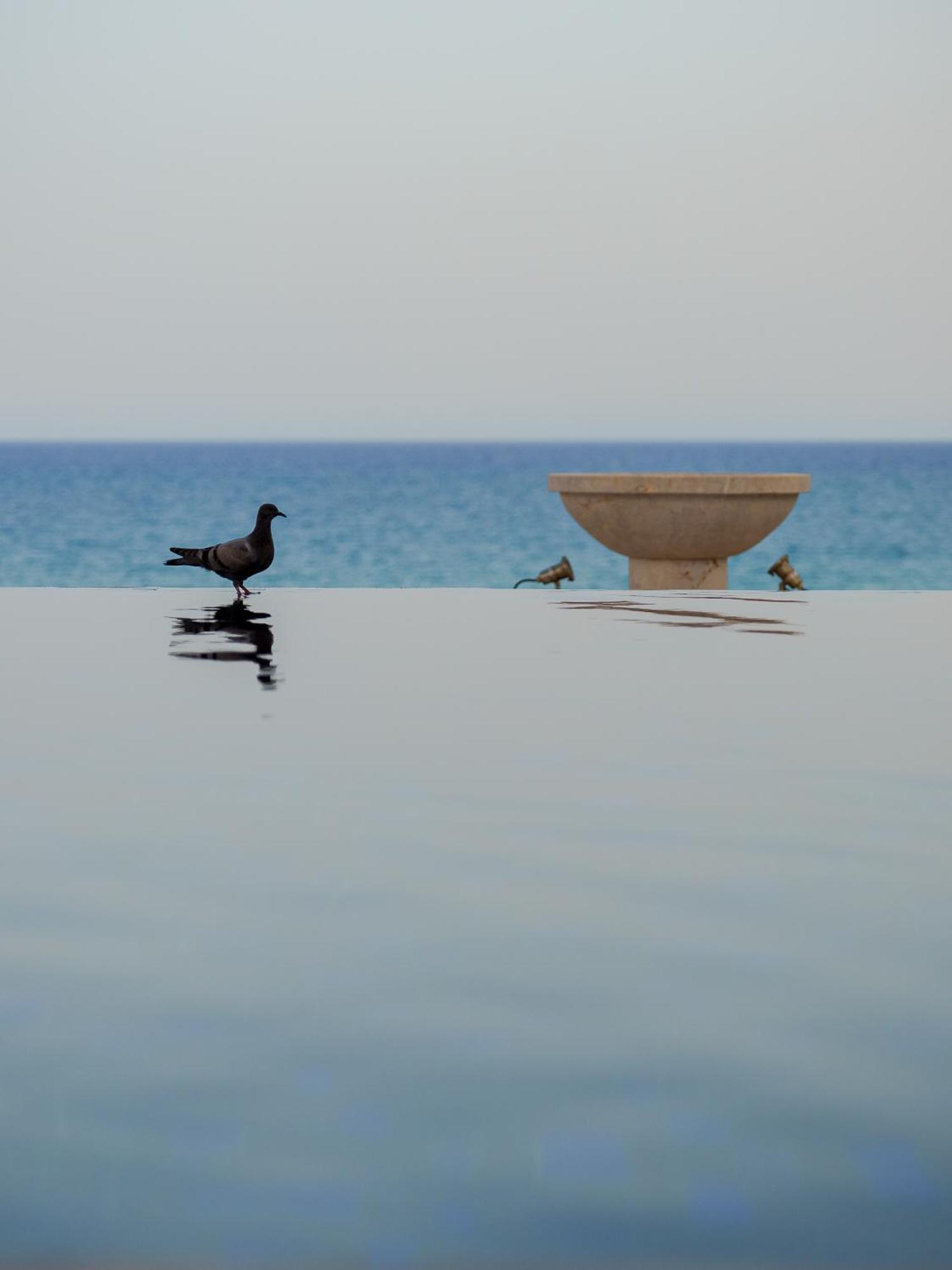 La Badira - Adult Only Hammamet